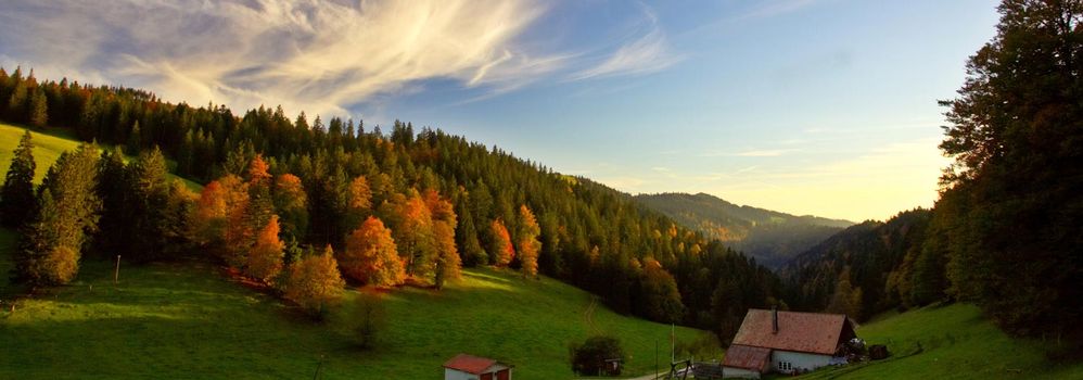 wedding, marriage, engagement, rings, wedding dress, flowers, roses logo